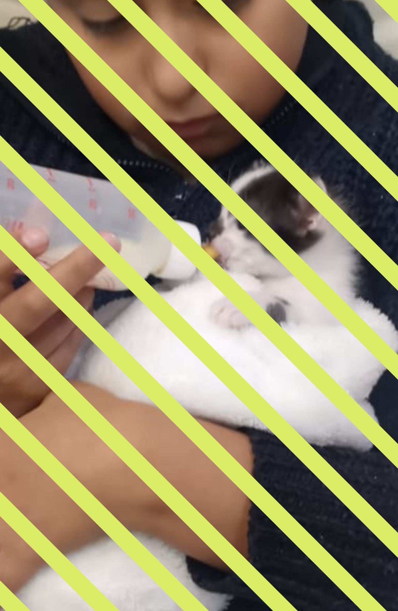 Travel Planner - Sketchbook Logbook