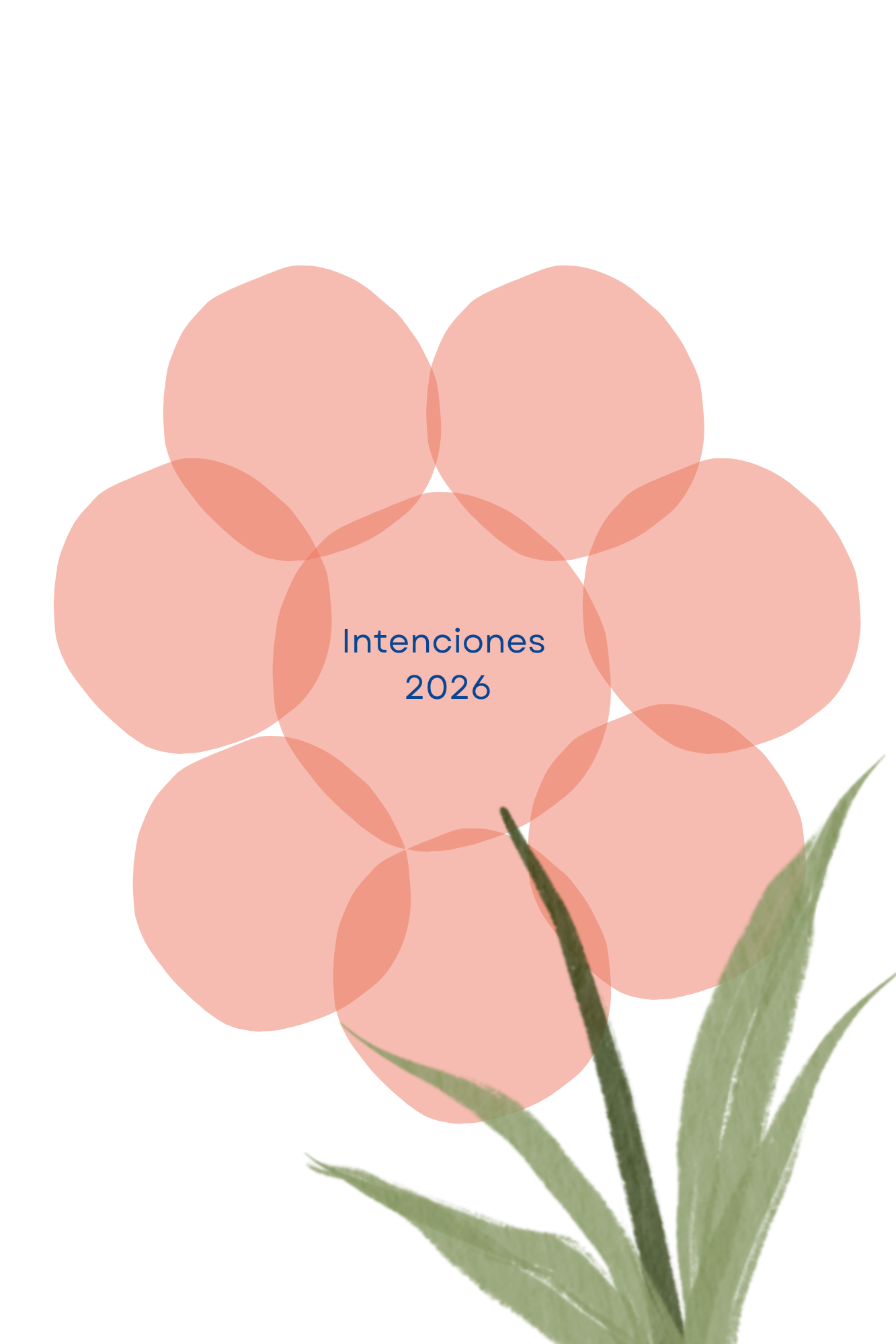 Planner personalizado Virgenes