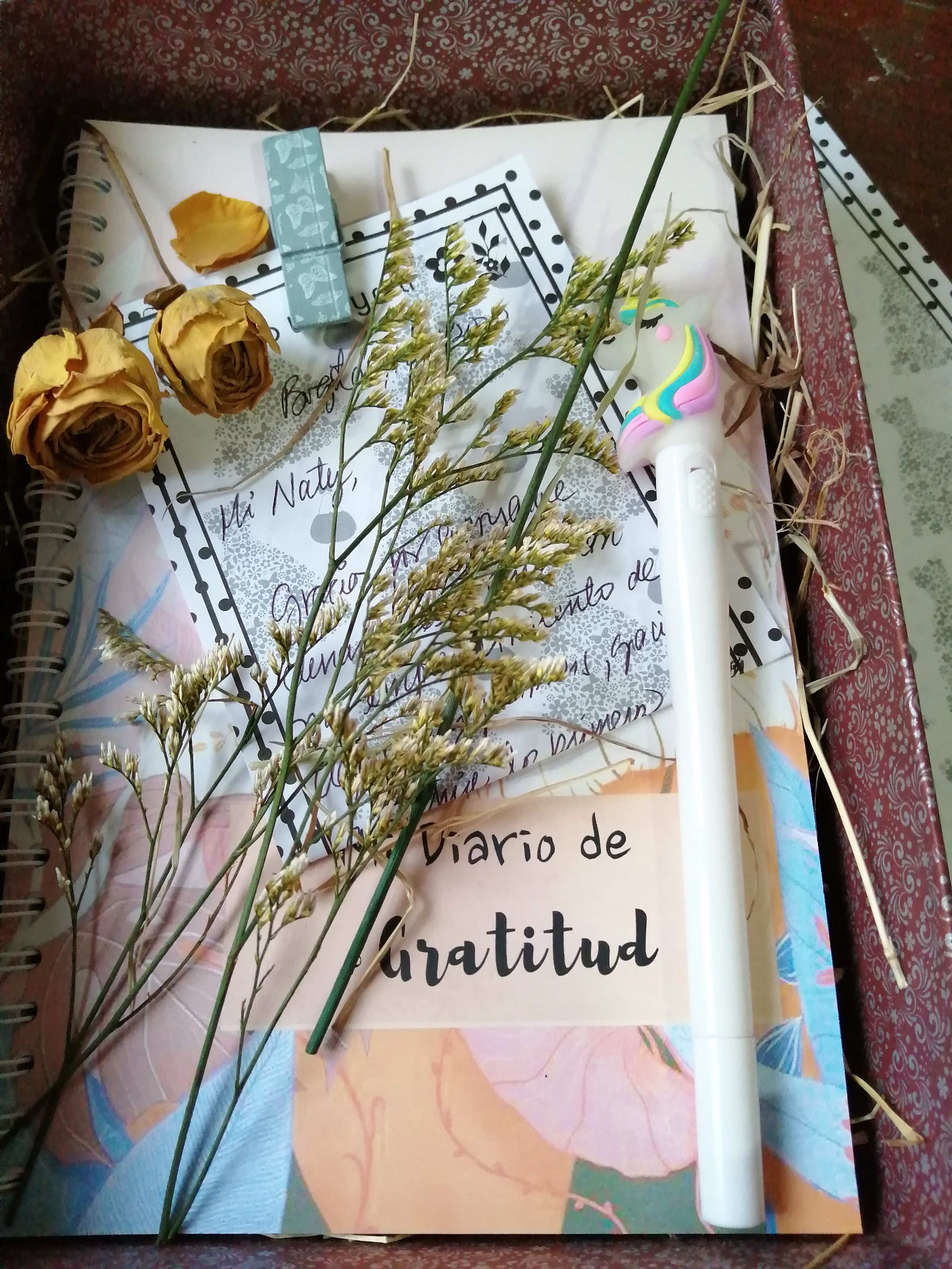 GRATITUDE DAILY